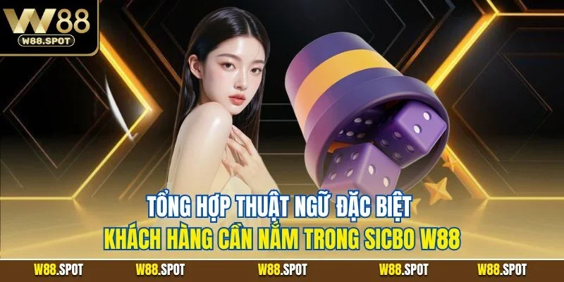 Sicbo W88| Trải Nghiệm Game Cược Trực Tuyến Hot Nhất 2025 3 Tổng hợp thuật ngữ đặc biệt khách hàng cần nắm trong Sicbo W88